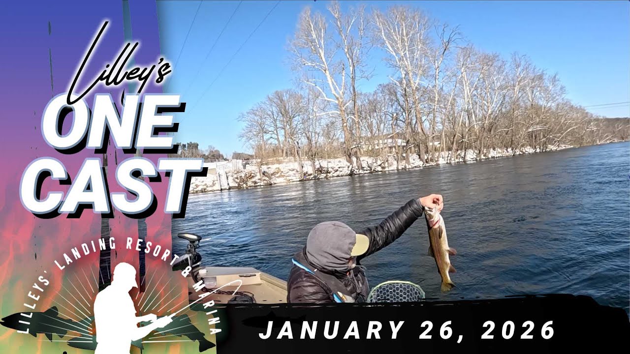 Lilley's One Cast, January 26