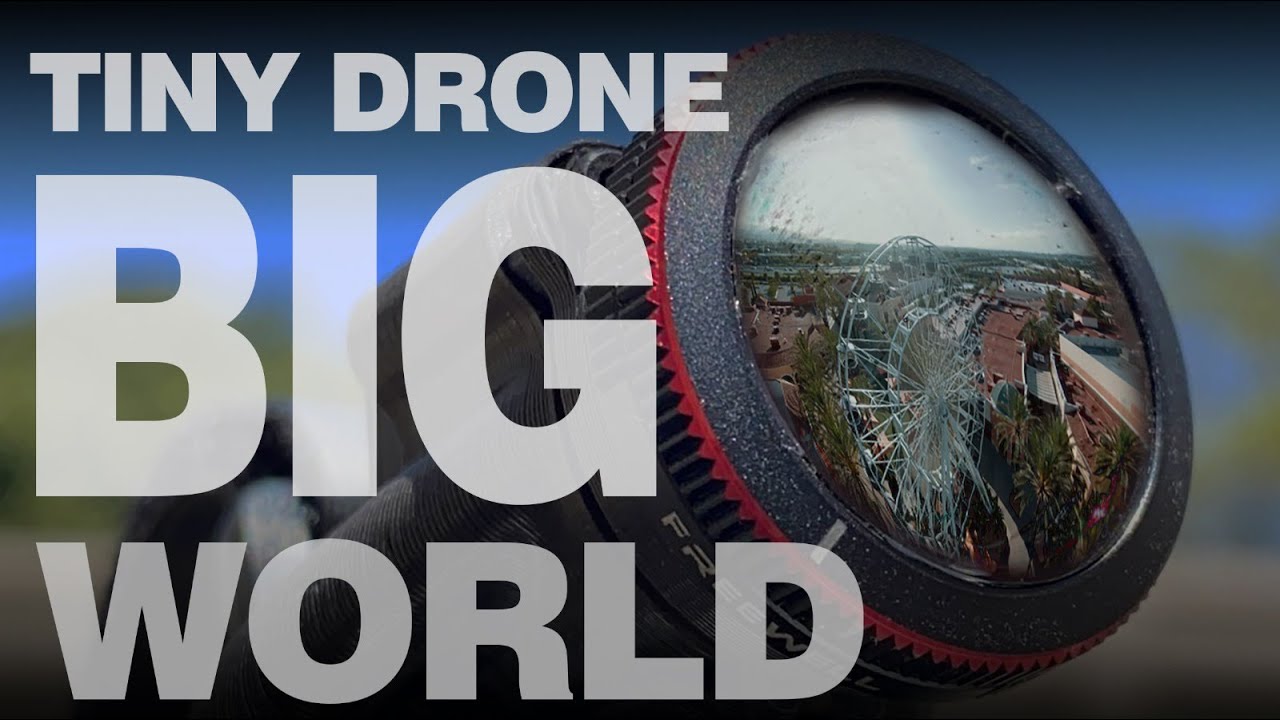 Little Drone, Big World