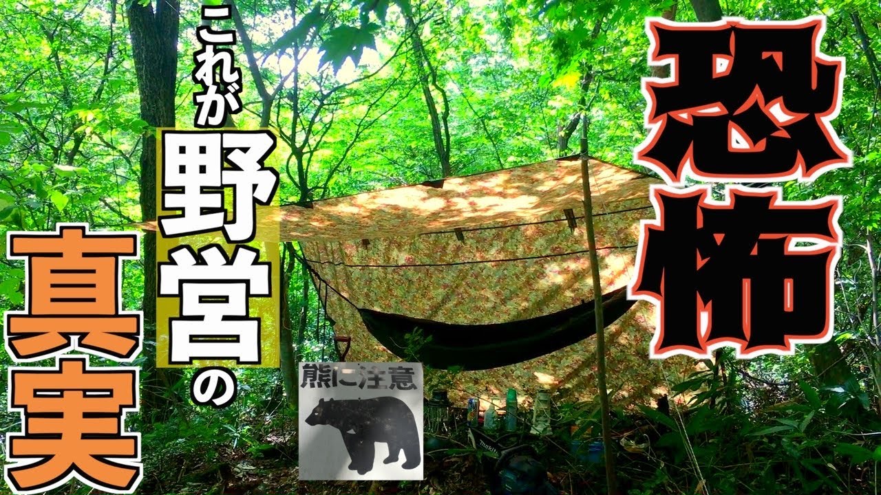 【野営】ツキノワグマが生息する山奥で野営してみたら想像を絶する恐怖が待っていた・・・【ソロキャンプ】