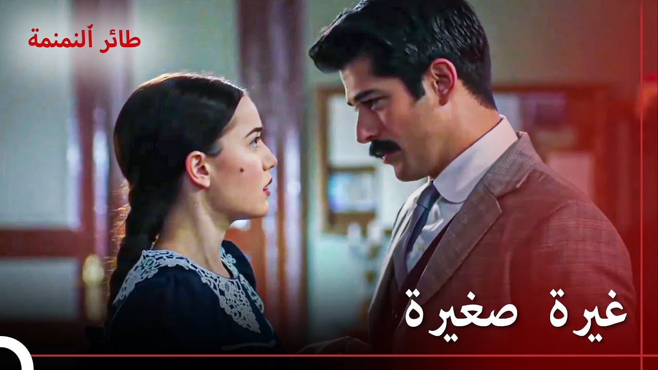 اهتمام الفتيات الأخريات بكامران كبير | طائر النمنمة