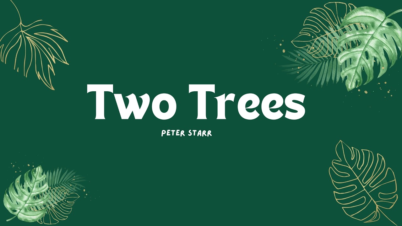 Two Trees | Peter Starr | 8th Feb 2026