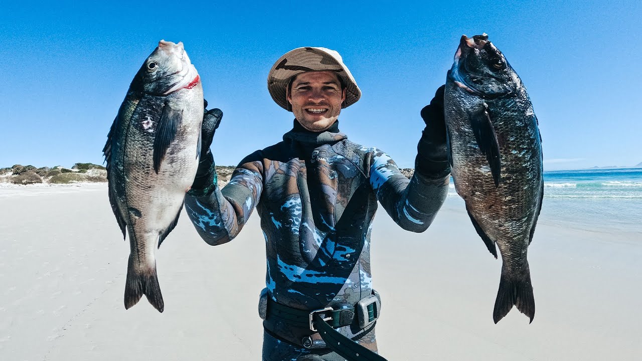 Spearfishing And Cookup On Top Of A MOUNTAIN! (Camp, Catch & Cook)