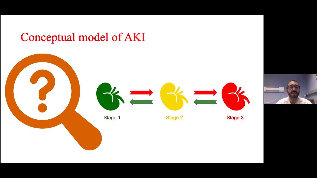 1 Lo que sabemos y necesitamos aprender acerca del AKI