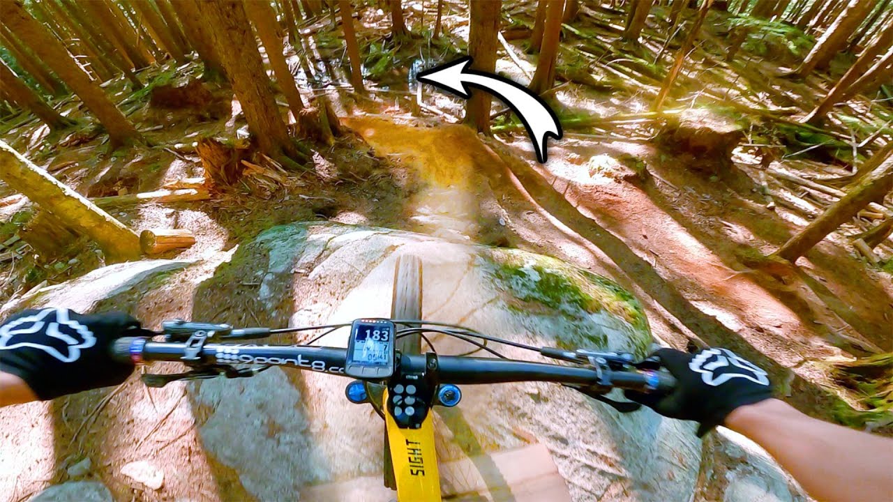 Manhandler, The Trail Revamped into Glory