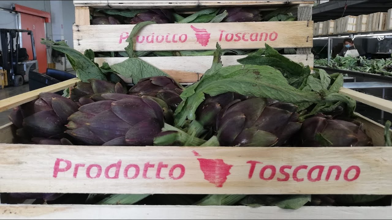 Lavoro sui campi e prezzi sui banchi