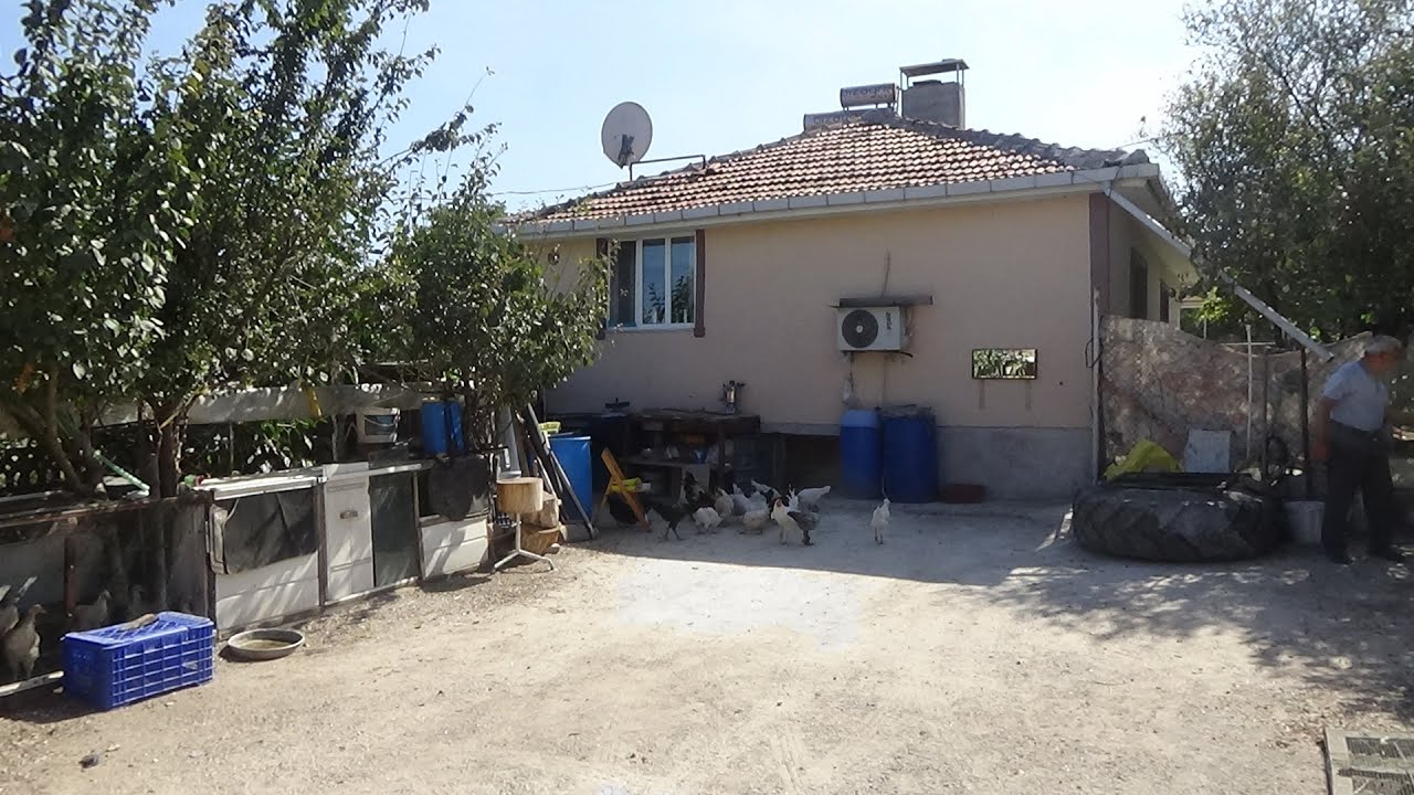 SATILDI..... Müstakil Bahçeli Eşyalı Ev-Tavuk,Civciv,Köpek Bedava-Balıkesir Manyas Salur-500 bin