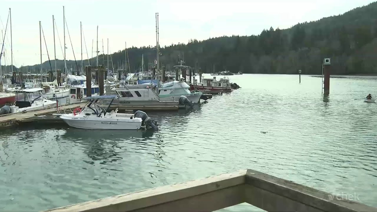 Large presence of derelict vessels in Ganges Harbour upsetting residents