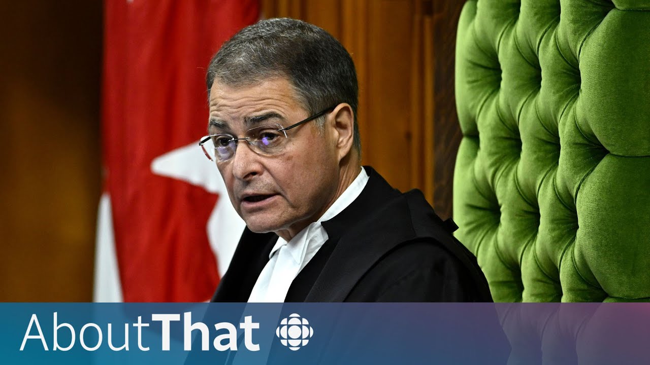 How a former Nazi unit soldier got a standing ovation in Parliament | About That