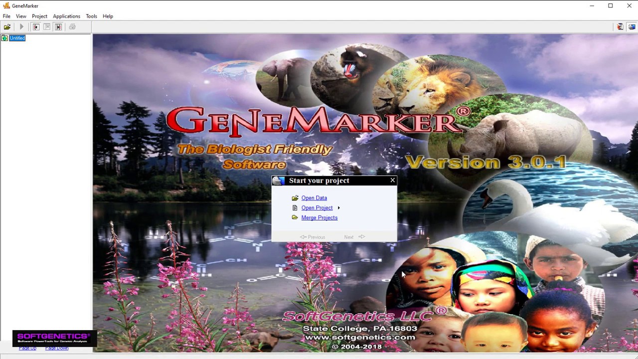GeneMarker Basics for Biologists
