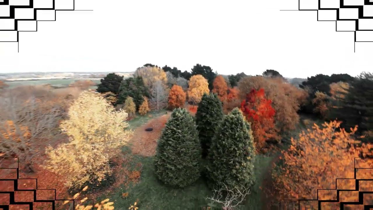Exploring the Fall Colors with Avata 2