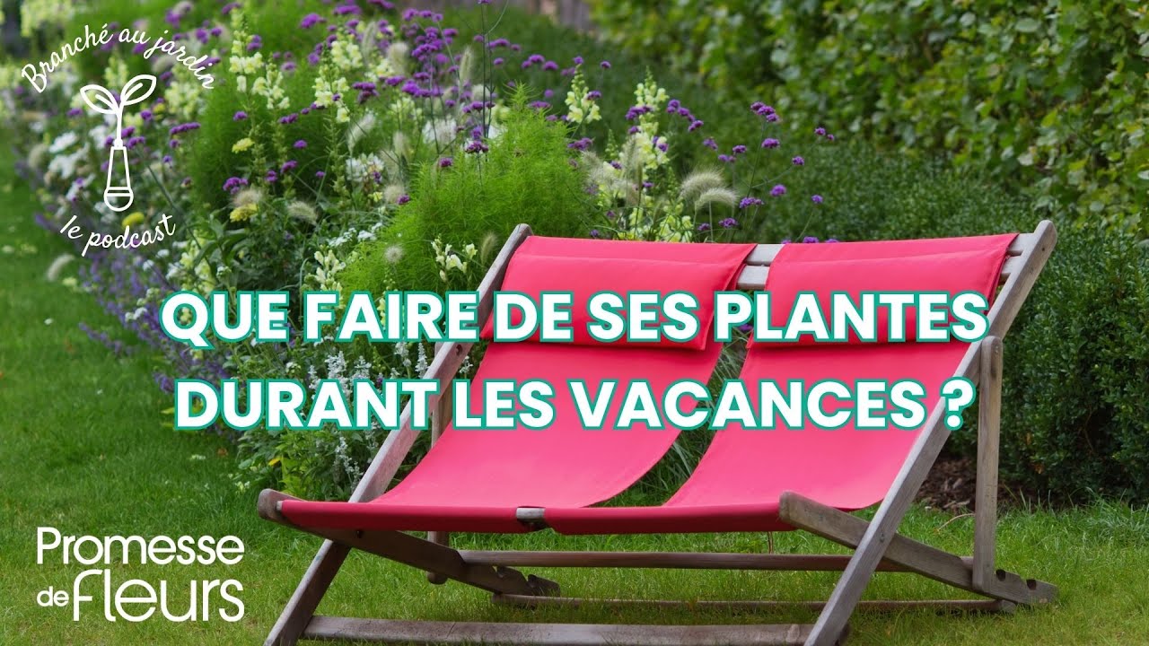 Podcast Branché au jardin : Que faire de ses plantes durant les vacances ?