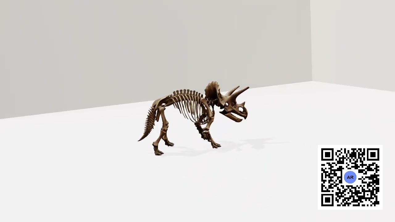 Export 3D Educational Models as MP4 Video Animations with AR QR Code | ar-code.com