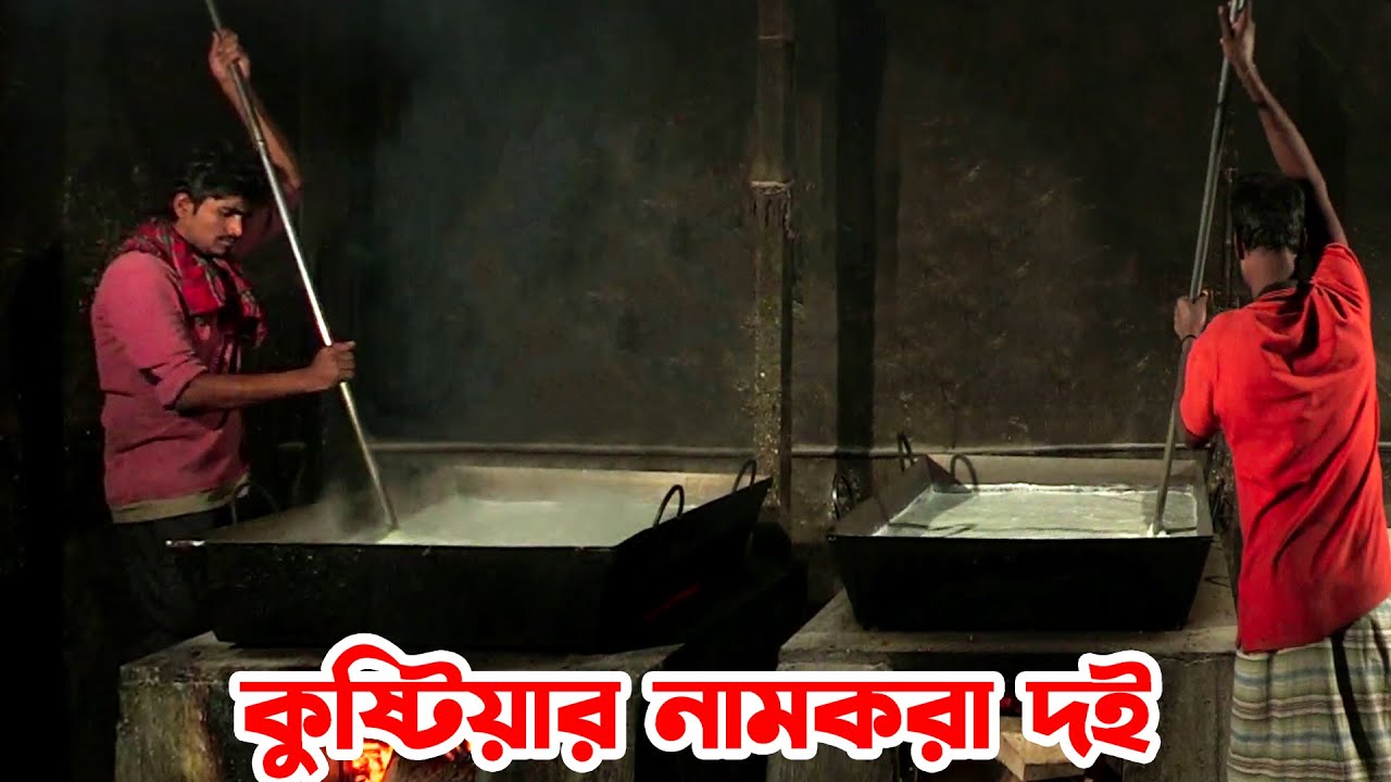 How to Make Famous Sweet Curd of Kushtia in Bangladesh || Panorama Food