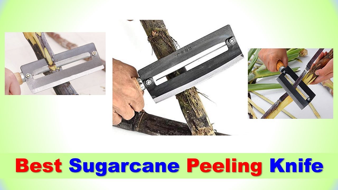 Best Sugarcane Peeling Knife in India 2022 | SUGARCANE PEELER KNIFE -