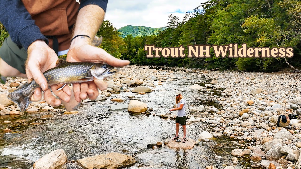 Trout Fishing New Hampshire's Back Country