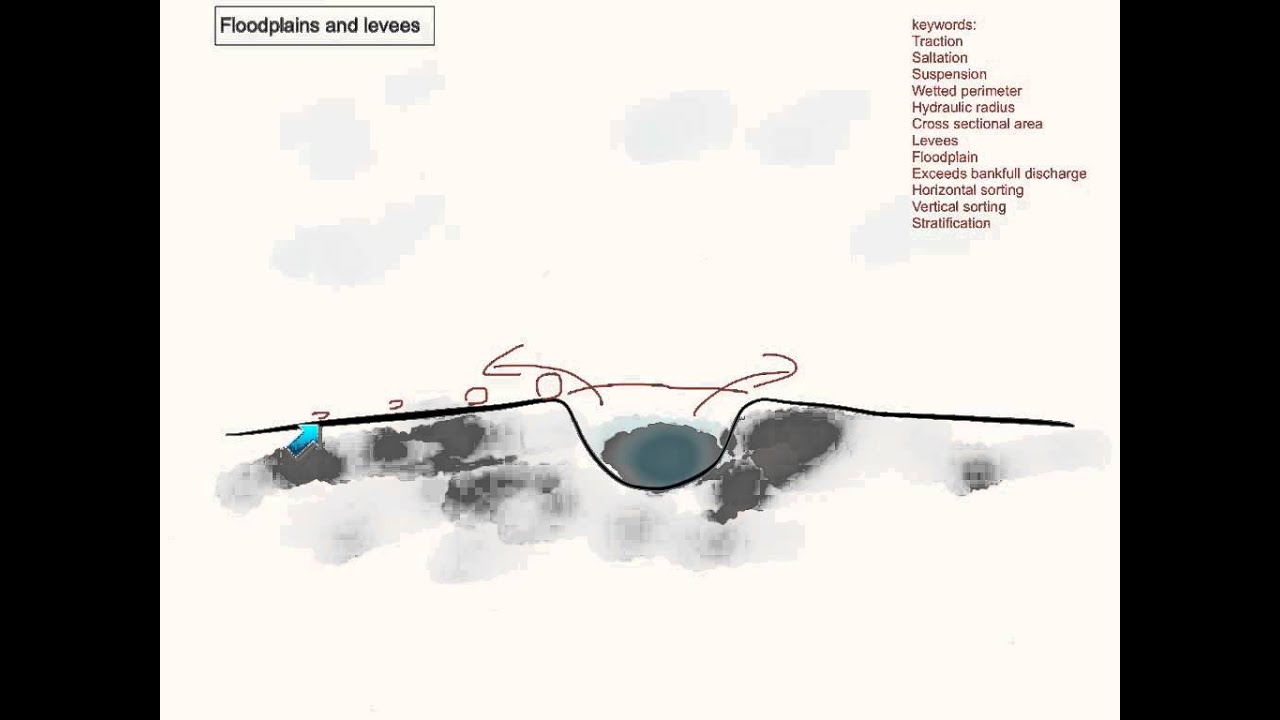 Formation of floodplains and levees