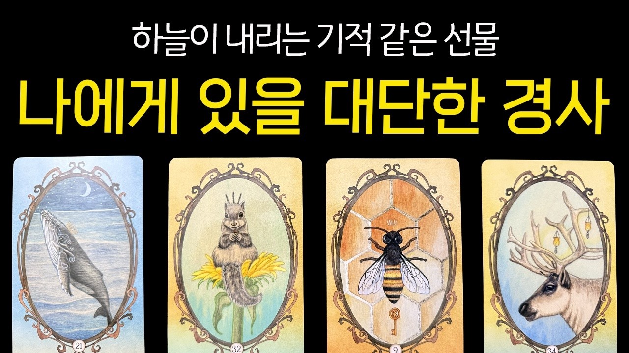 [💠타로]