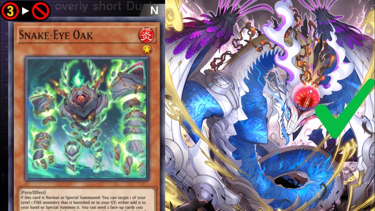 Snake-Eye (No Oak) Combos | Anti Nibiru or Desirae Lines