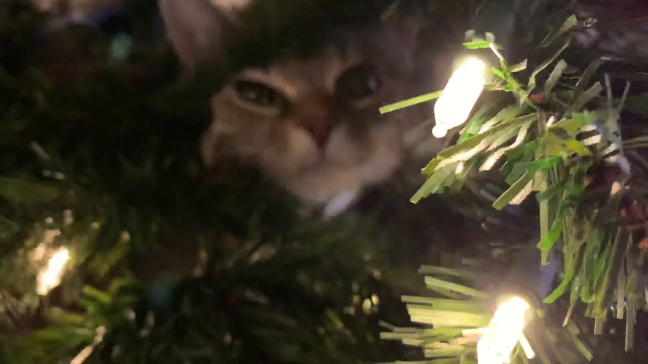 It was only up for 10 minutes...