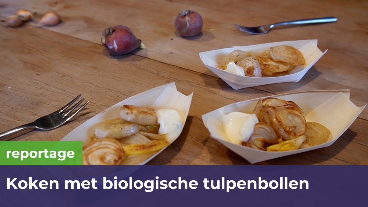 Koken met biologische tulpenbollen