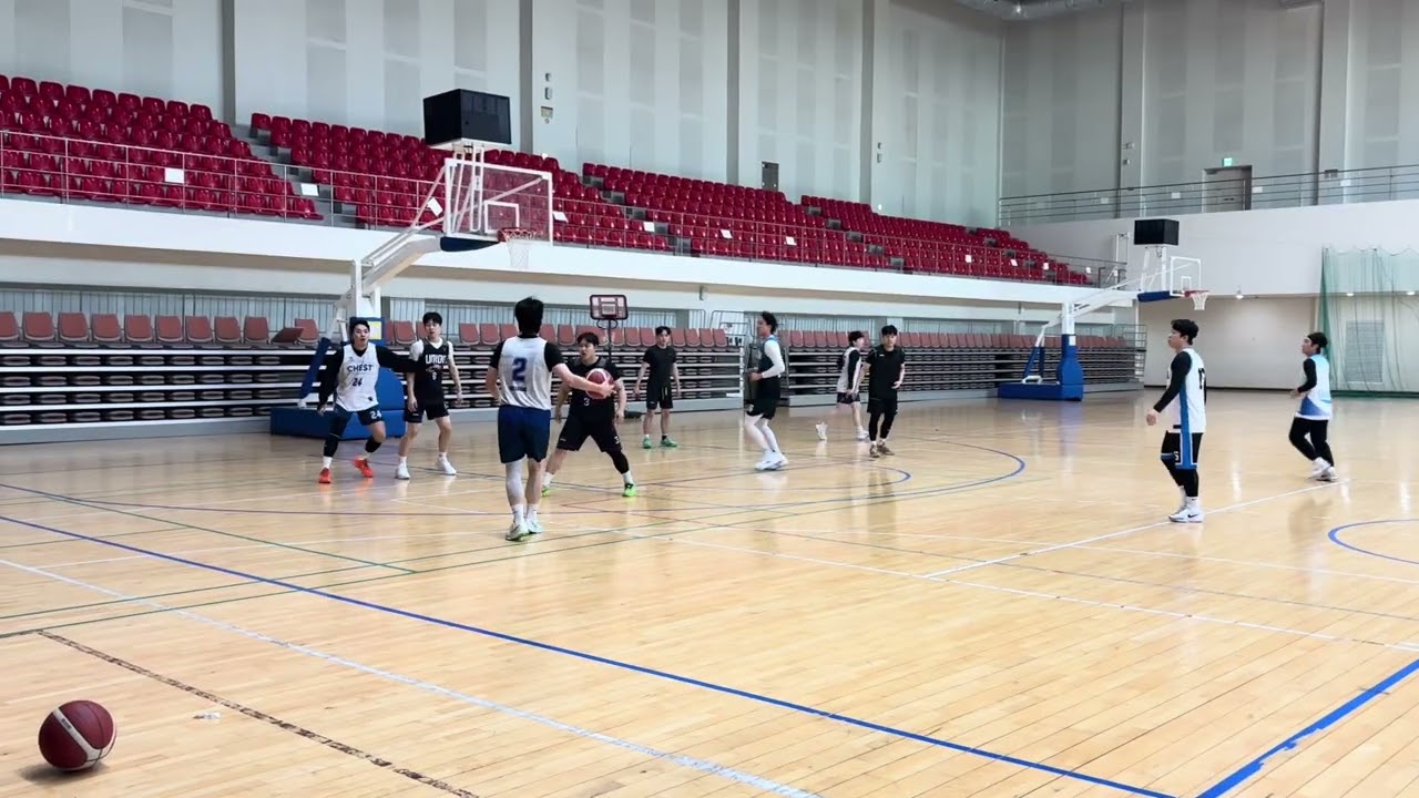 체스트