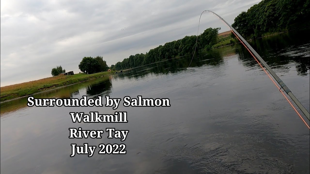 Salmon Fishing at Walkmill River Tay July 2022