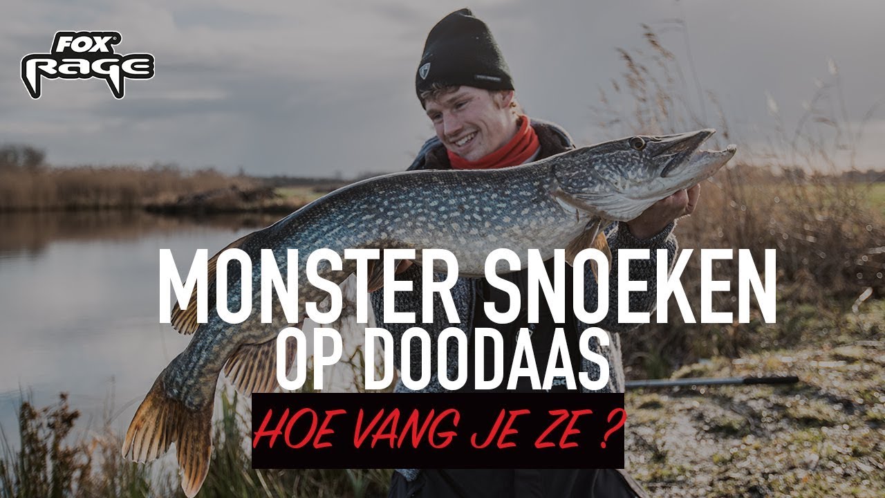 *** Fox Rage TV *** Statisch Doodaas Vissen met Tamme Smit