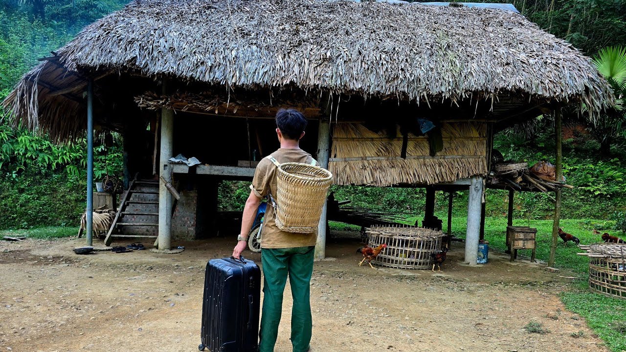 CEO Kien left the city for the forest to restore the old house with his brother.