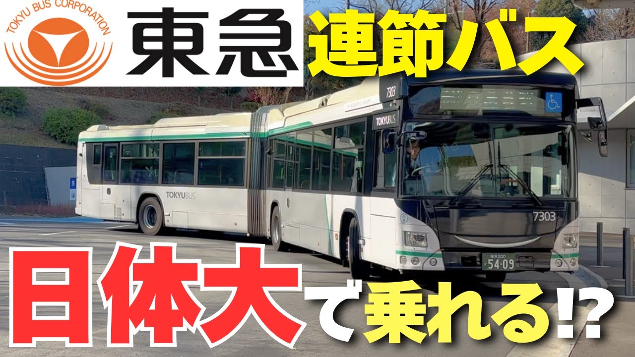 【神奈川観光】青葉台～日体大を走る“2連節タンデムライナー”に初乗車！住宅街を走る迫力満点の連節バス体験！【東急バス】