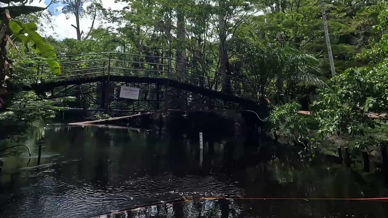 Jungle Camp Carolina