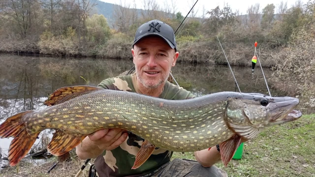 Pêche du Brochet