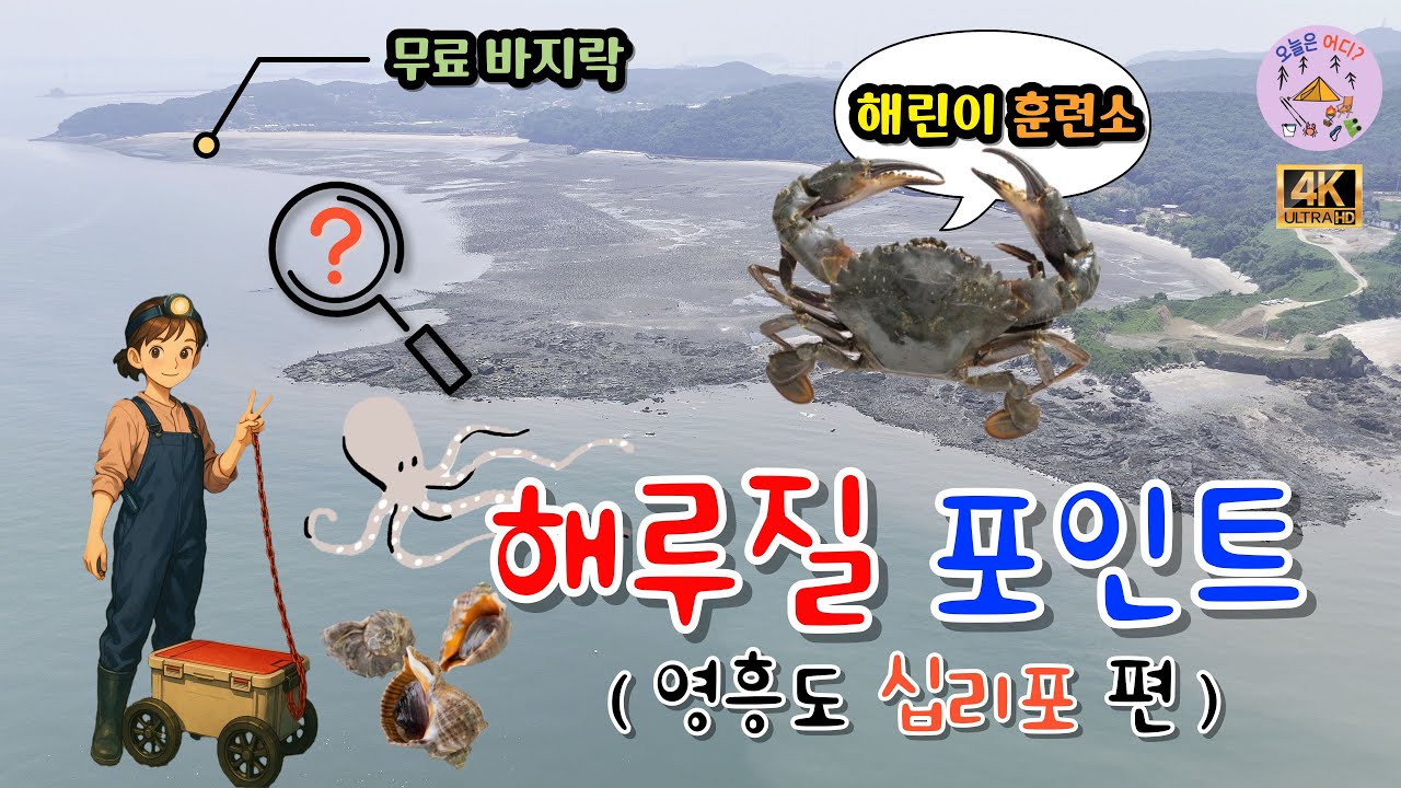 해루질 포인트 (십리포해수욕장) 