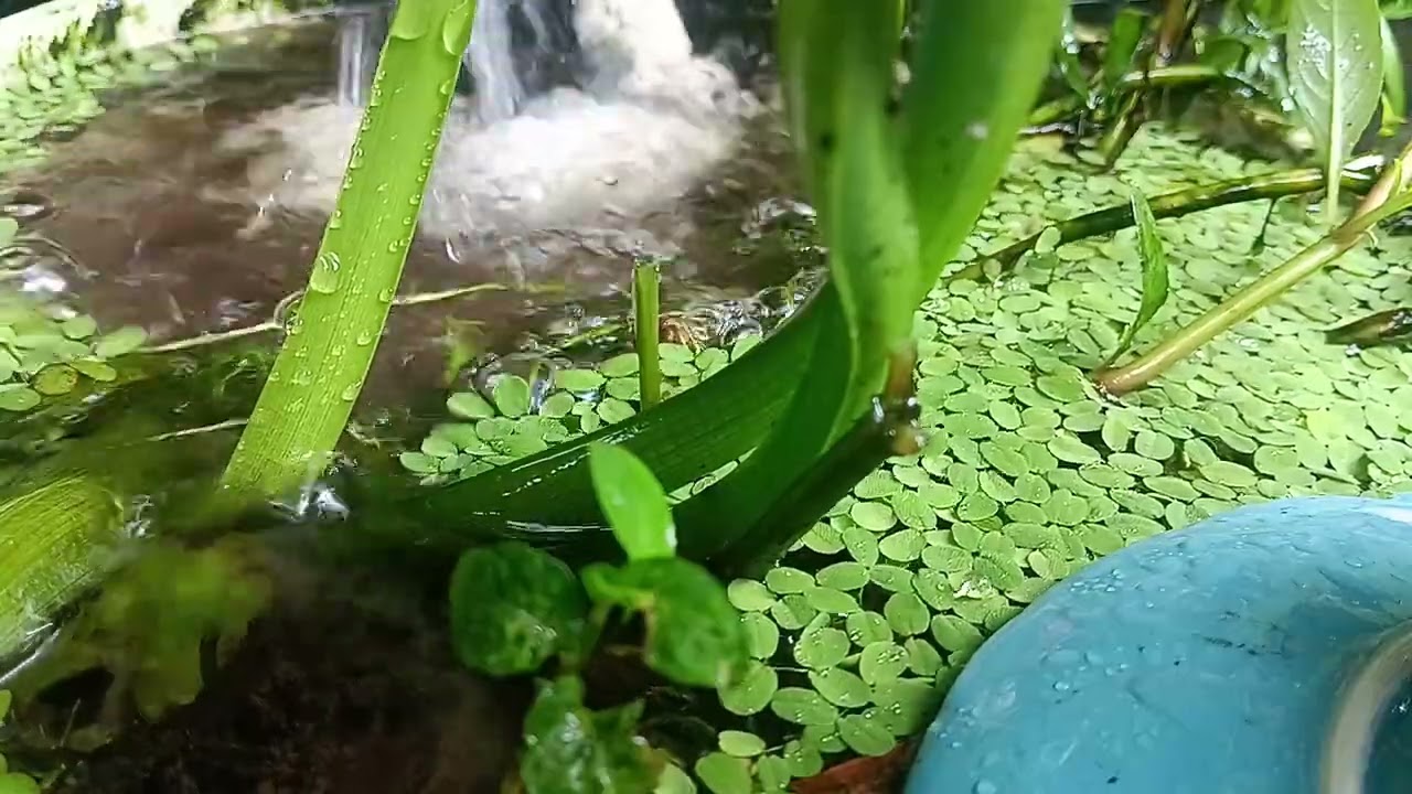 Anda akan tertidur pulas bebas dari insomnia 