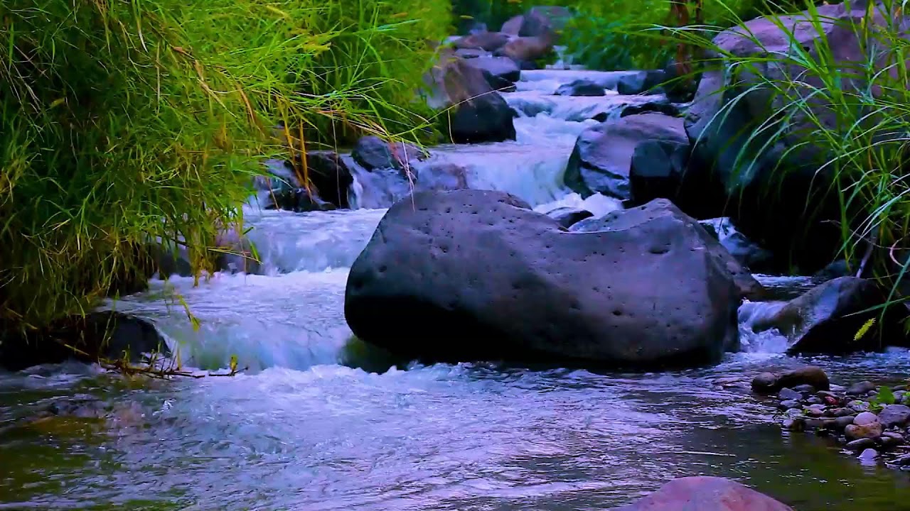 Fall Asleep Peacefully with River Sounds | Natural White Noise Therapy