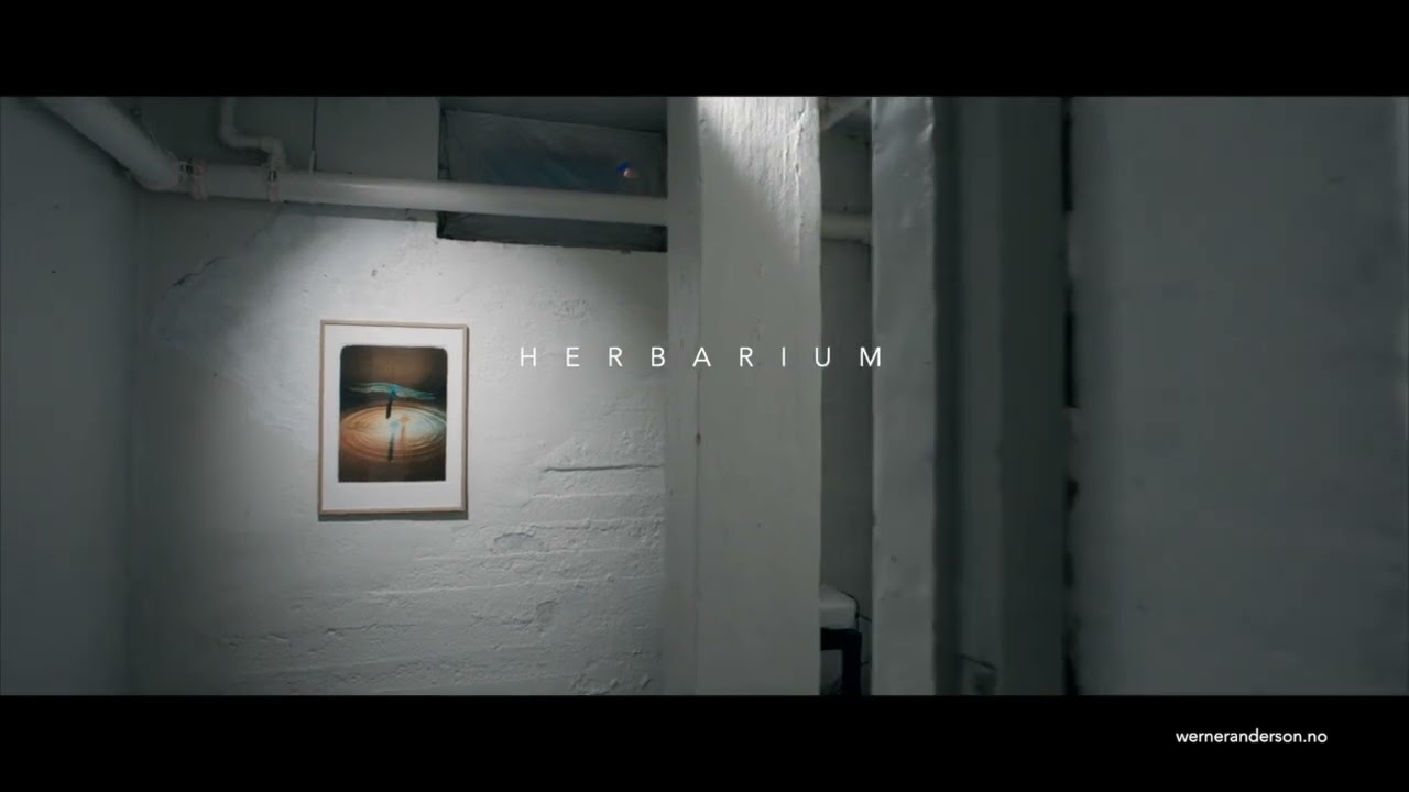 herbarium utstillingsfilm   tinn kunstforening 2024 v1 720p