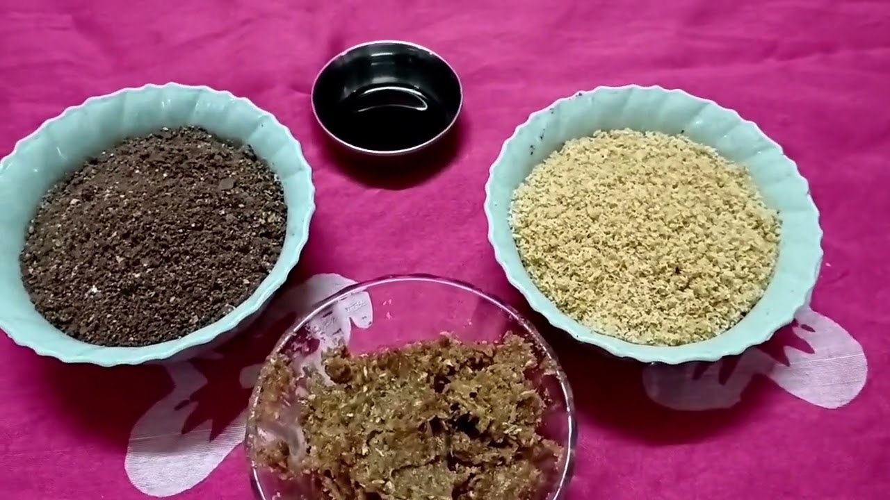 Healthy Chocolate Truffles 😋✨ 