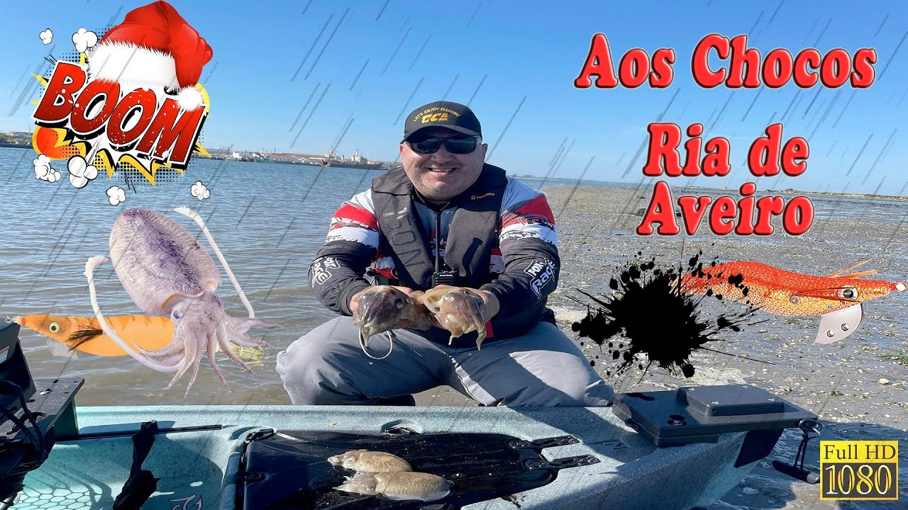 Pesca aos chocos ria de Aveiro 🦑
