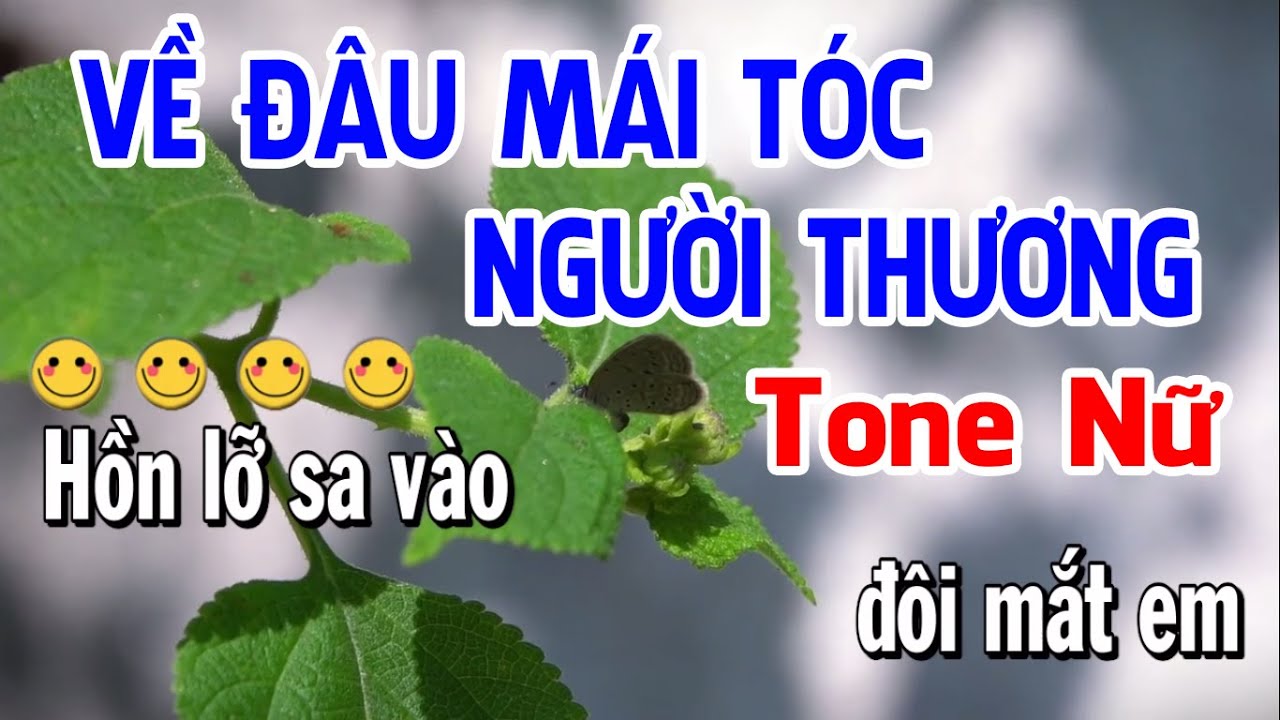 Về Đâu Mái Tóc Người Thương Karaoke Nhạc Sống Tone Nữ | Karaoke Tứ Anh