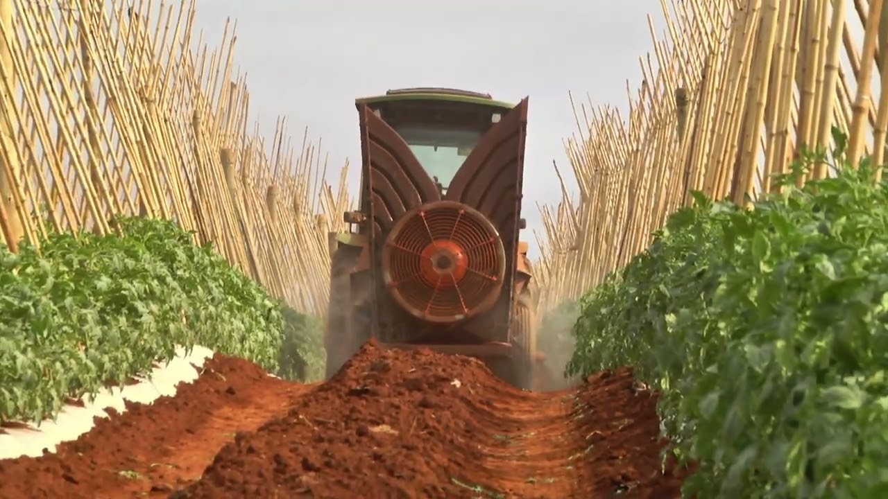Video Institucional JLB Tomates