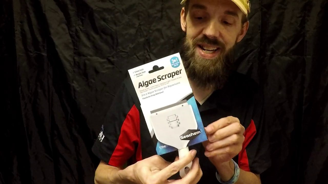 Seachem Algae Scrapers Review: New 6