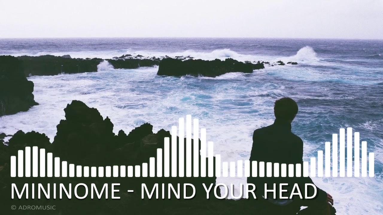 mininome - Mind Your Head