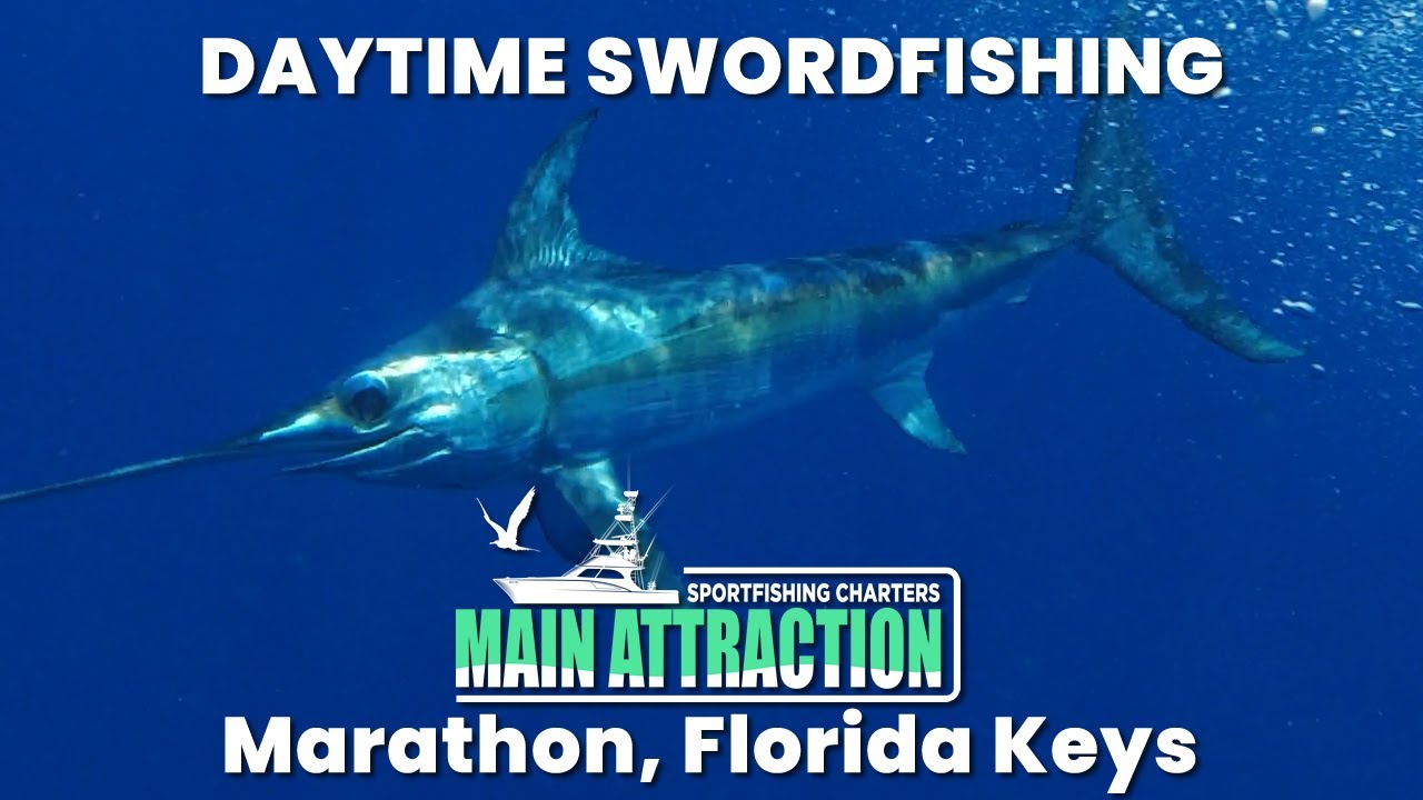 North Atlantic Swordfish Highlights - Marathon, Florida Keys