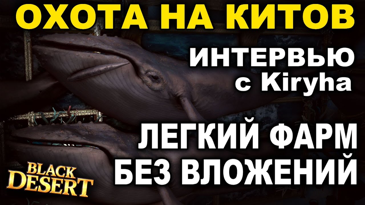 🐋ФАРМ СЕРЕБРА НА КИТАХ после РЕВОРКА. Интервью с Kiryha_a. Охота в БДО (BDO - Black Desert)