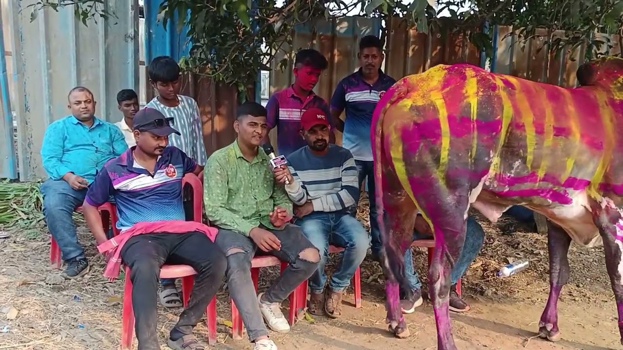 ज्यांनी ज्यांनी पयरा नाय दिला त्यांना ठोकणार.... कायक्रम होणार 