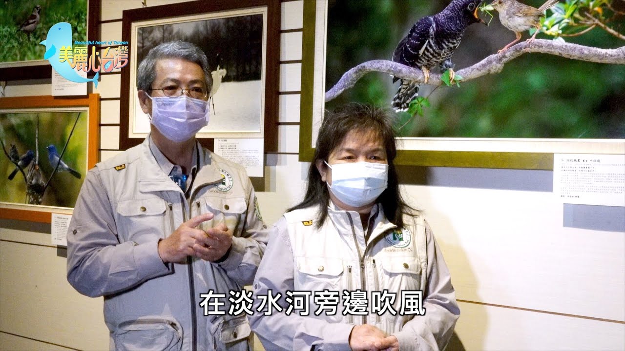 【台中市】鳥類生態攝影與繫放鳥調查｜環境保護｜367｜#美麗心台灣
