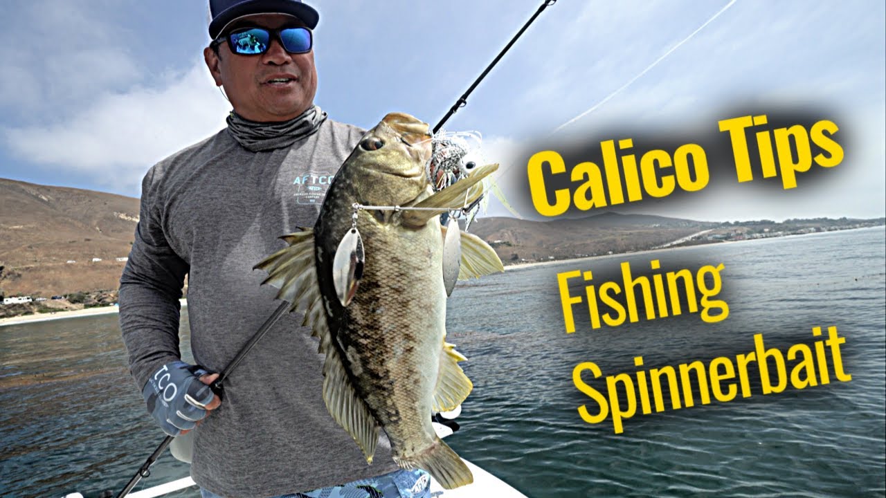 Calico Bass Tips | Benny Florentino