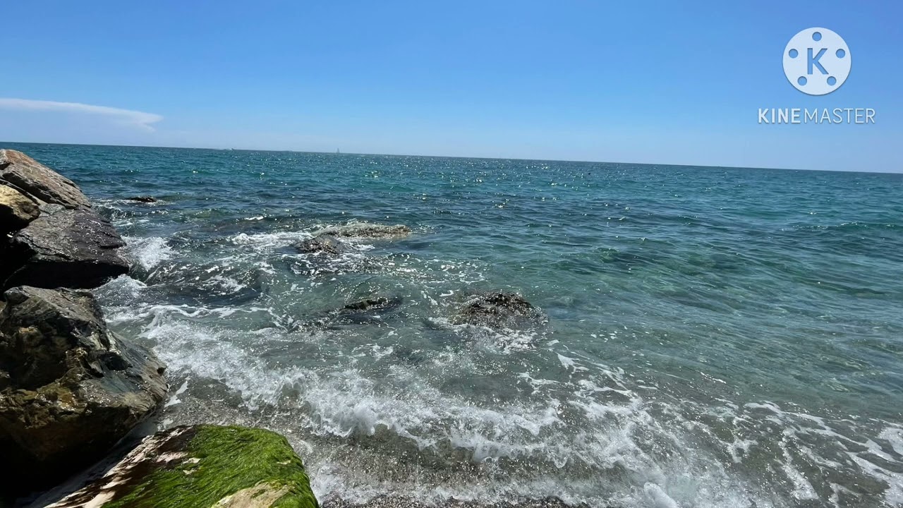 Alive - Empire of the Sun (Slowed & Reverb but you’re at the beach)