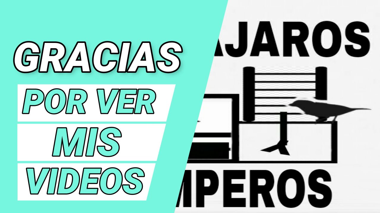 Un viajecito mas a los cardenales