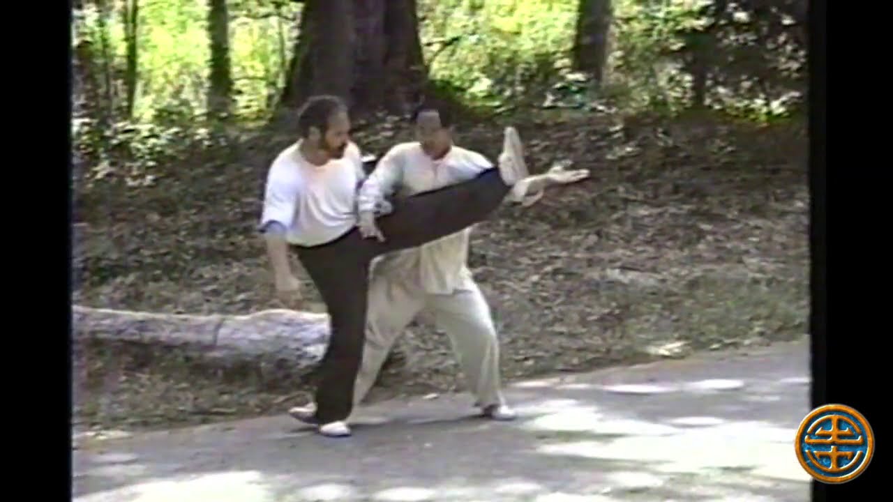 八卦掌 BAGUA ZHANG HAWK PALM APPLICATIONS