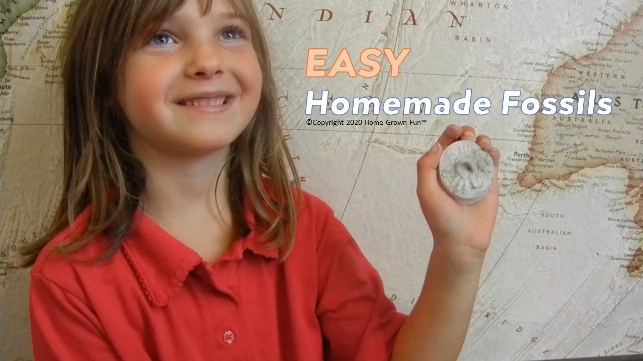 EASY Homemade Fossils     Great Craft for Kids